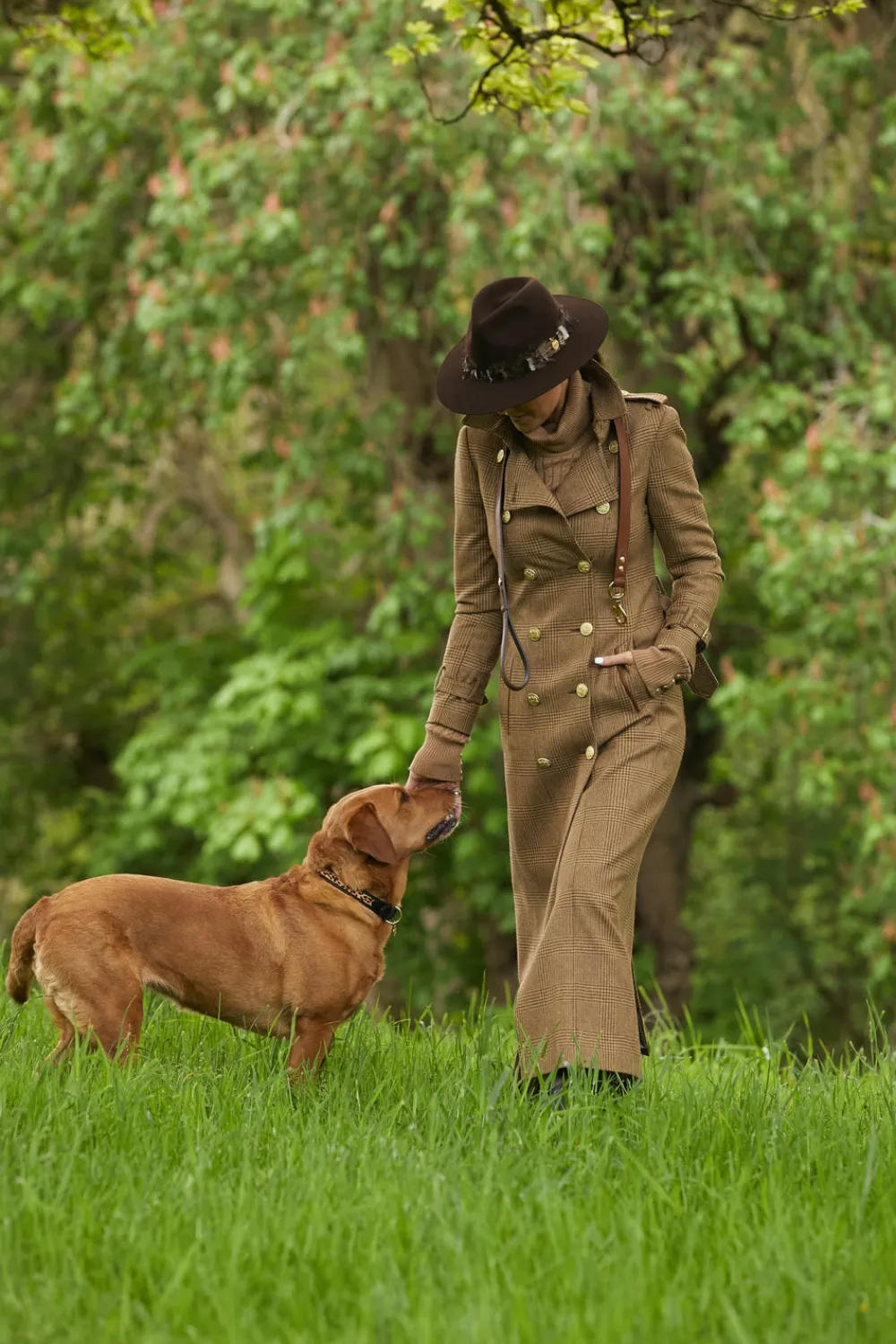 Holland Cooper Dog Collars>HC Classic Dog Collar