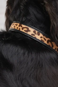 Holland Cooper Dog Collars><noscript><img width=