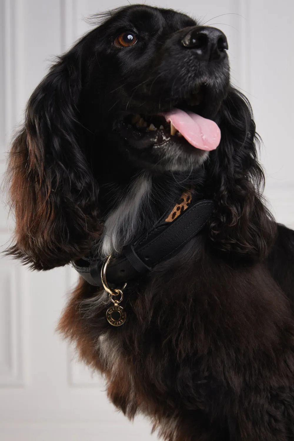 Holland Cooper Dog Collars>HC Classic Dog Collar