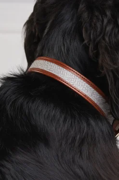 Holland Cooper Dog Collars><noscript><img width=