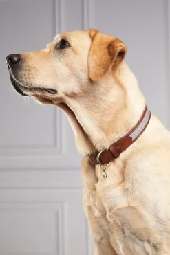 Holland Cooper Dog Collars><noscript><img width=