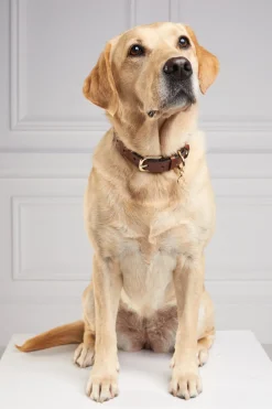 Holland Cooper Dog Collars><noscript><img width=