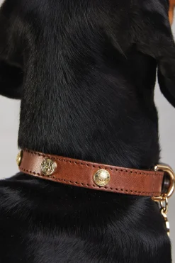 Holland Cooper Dog Collars>HC Studded Dog Collar