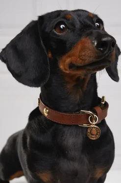 Holland Cooper Dog Collars><noscript><img width=