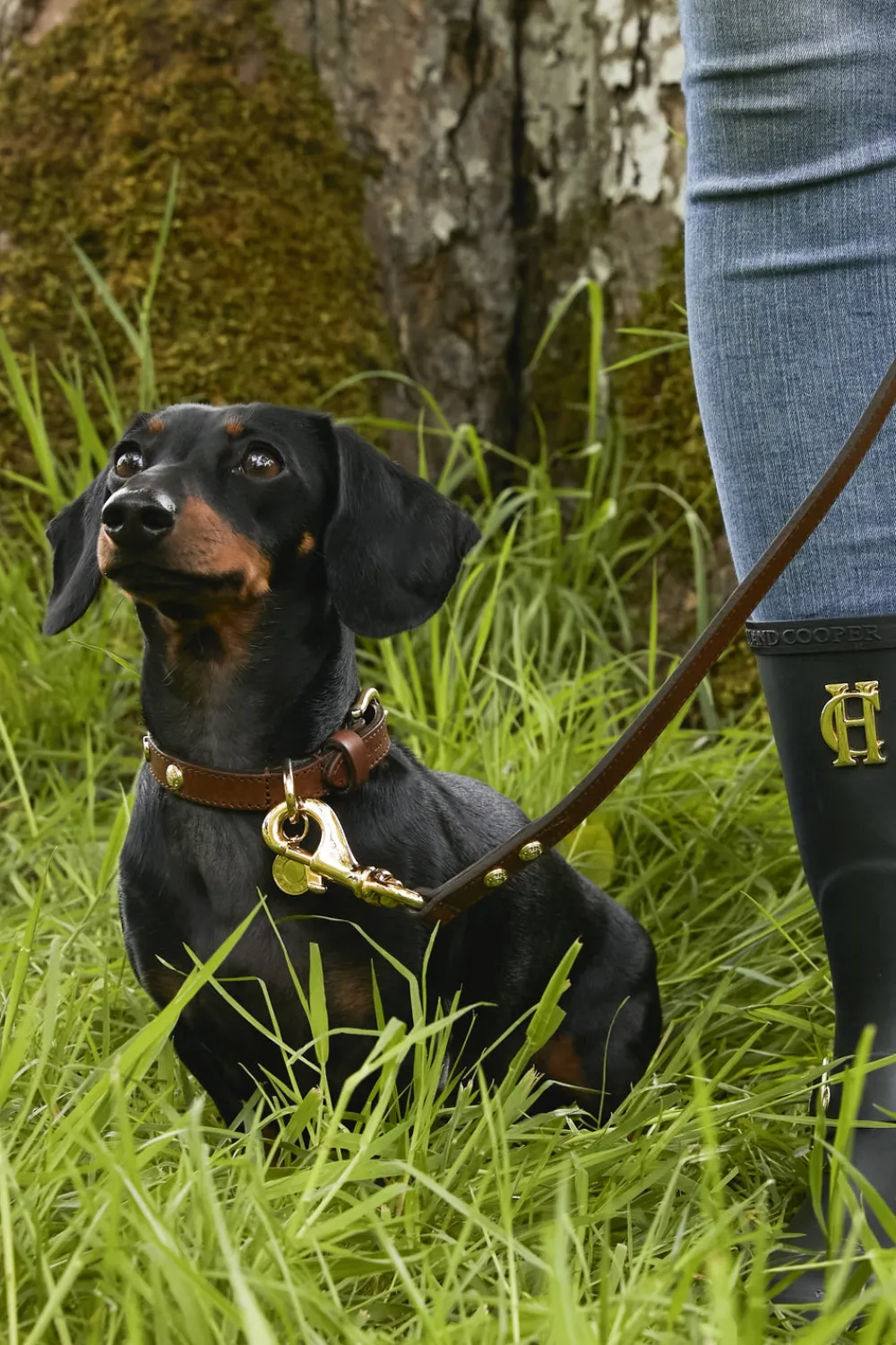 Holland Cooper Dog Collars>HC Studded Dog Collar