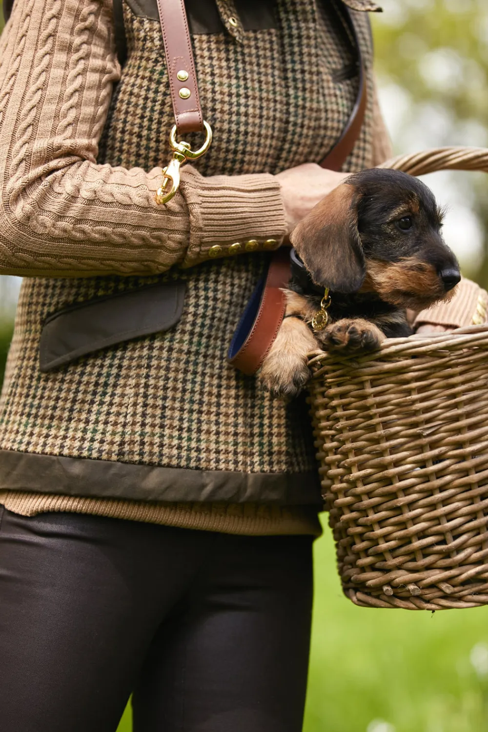 Holland Cooper Dog Collars>HC Studded Dog Collar